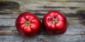 healthy eating habits and nutrition basics