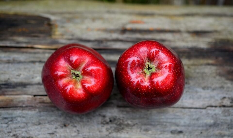 healthy eating habits and nutrition basics