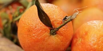 healthy eating habits and nutrition basics