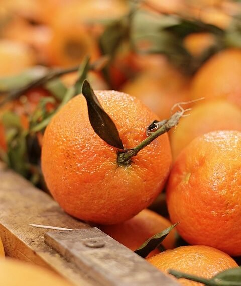 healthy eating habits and nutrition basics