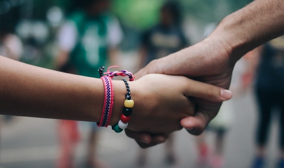 how franchises operate as a business model