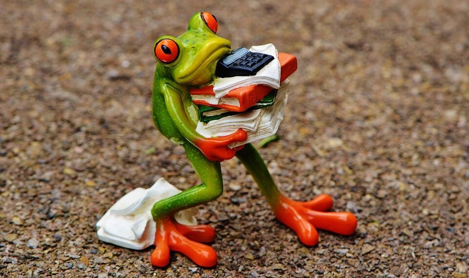 how the human respiratory system works