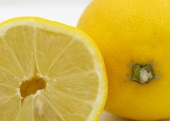 how the immune system protects the body