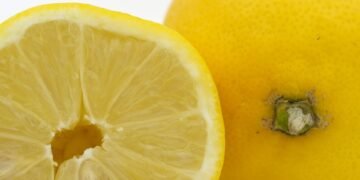 how the immune system protects the body