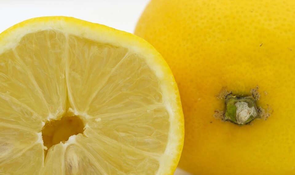 how the immune system protects the body