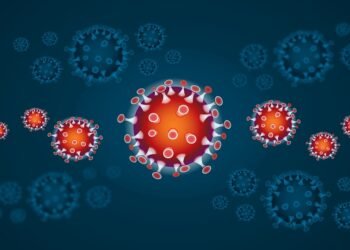 how the immune system protects the body