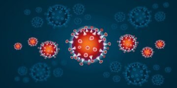 how the immune system protects the body
