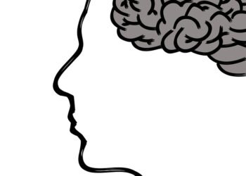 how the human brain processes information