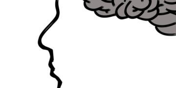 how the human brain processes information