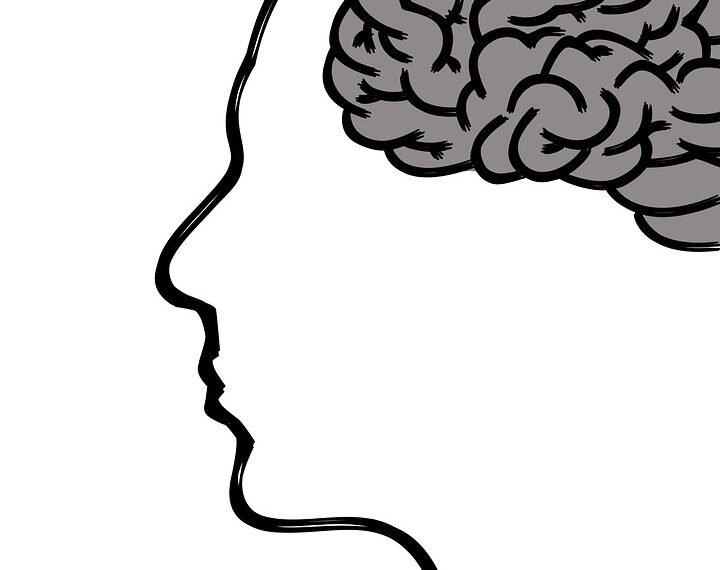 how the human brain processes information