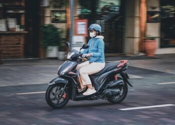 how parliamentary committees work