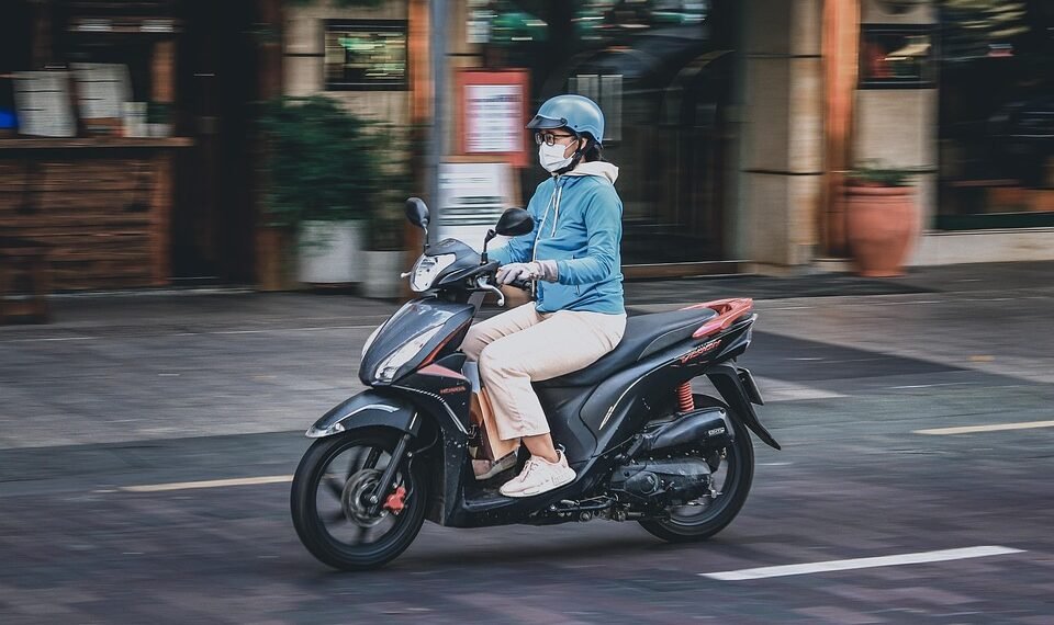 how parliamentary committees work