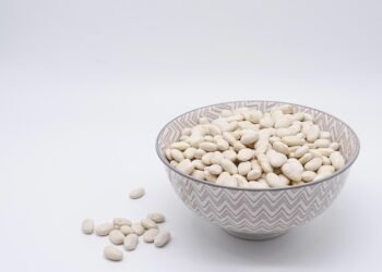 role of RNA in protein synthesis explained