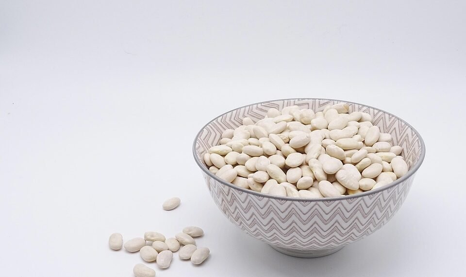 role of RNA in protein synthesis explained