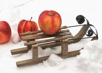 importance of handwashing in disease prevention