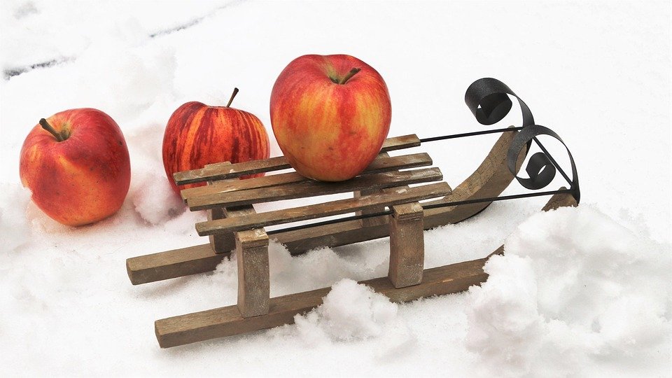 importance of handwashing in disease prevention