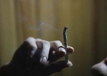 effects of smoking on human health