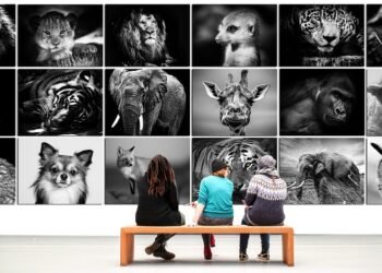 the periodic table and element classification