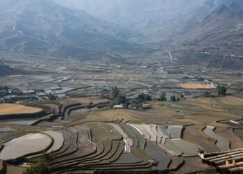 steps of the water cycle and its importance