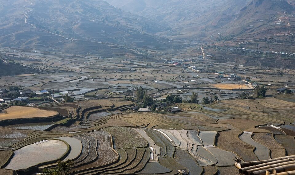 steps of the water cycle and its importance