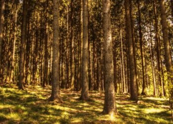 iconic movie characters through decades