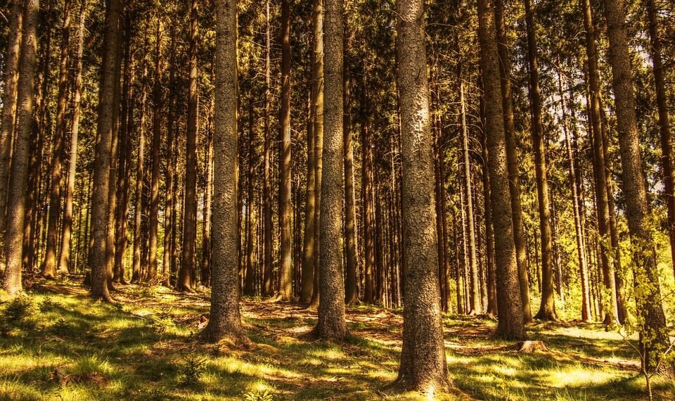 iconic movie characters through decades