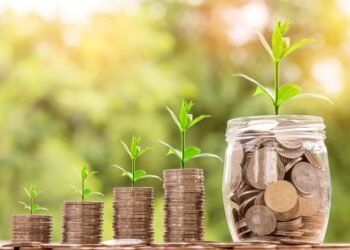 role of innovation in business growth