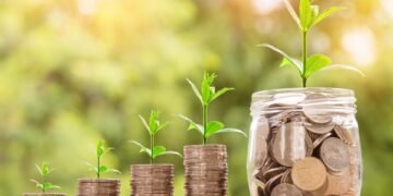 role of innovation in business growth