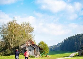 benefits of regular physical activity