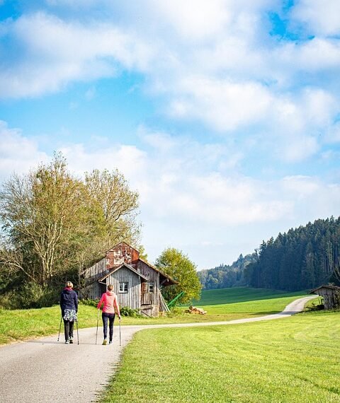 benefits of regular physical activity