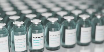 how vaccines support immunity