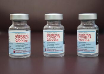 how vaccines support immunity