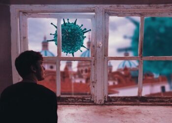 difference between viruses and bacteria