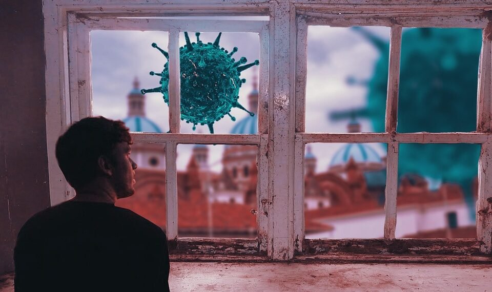 difference between viruses and bacteria