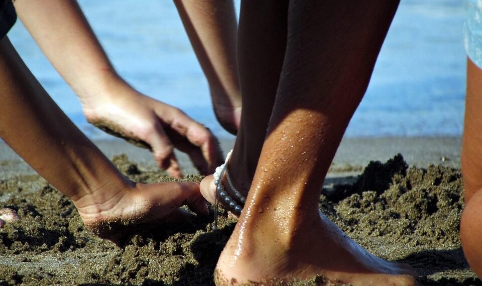 difference between viruses and bacteria