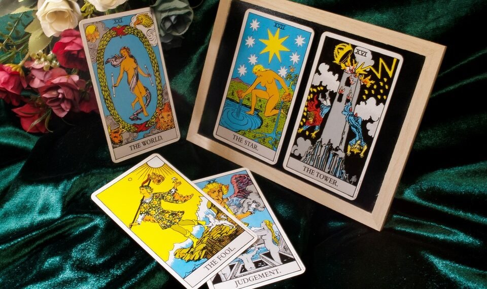 difference between viruses and bacteria