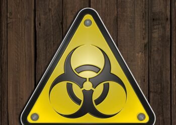 difference between viruses and bacteria