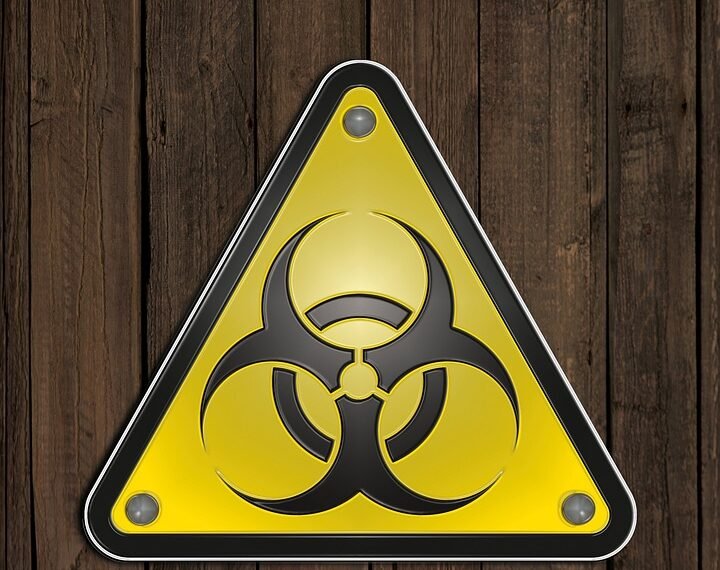 difference between viruses and bacteria