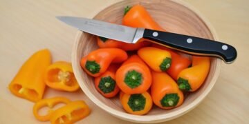 common vitamins and their roles in the body