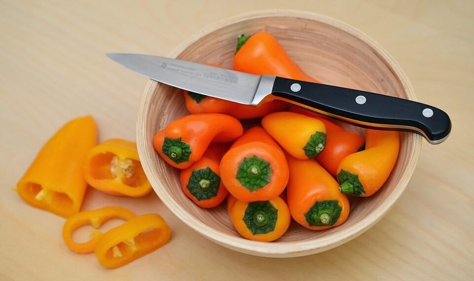 common vitamins and their roles in the body