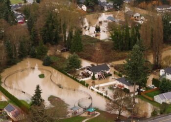 Washington Flooding Prompts Citywide Evacuation as Rivers Hit Record Levels
