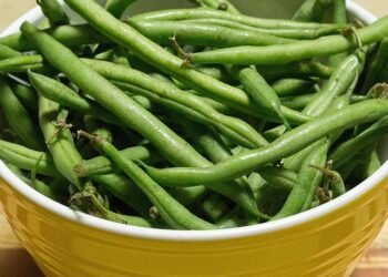 healthy eating habits and nutrition basics