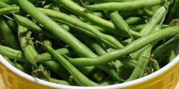 healthy eating habits and nutrition basics