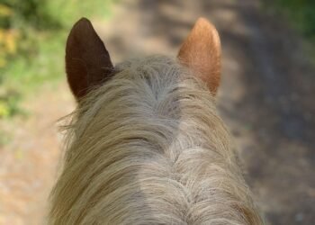 benefits of regular physical activity