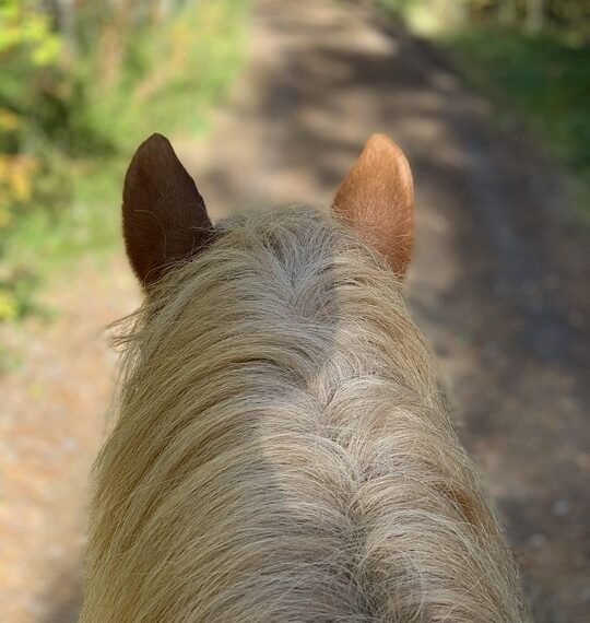 benefits of regular physical activity