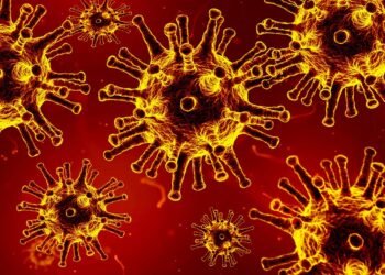 importance of handwashing in disease prevention