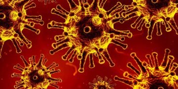importance of handwashing in disease prevention