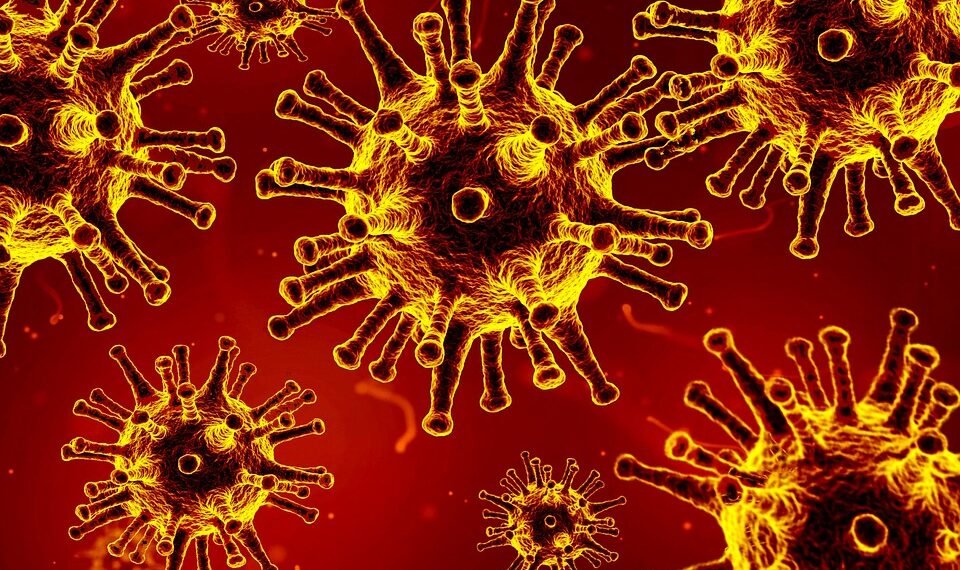 importance of handwashing in disease prevention