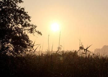 how horror films evolved across decades