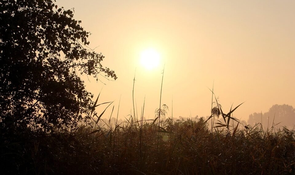 how horror films evolved across decades